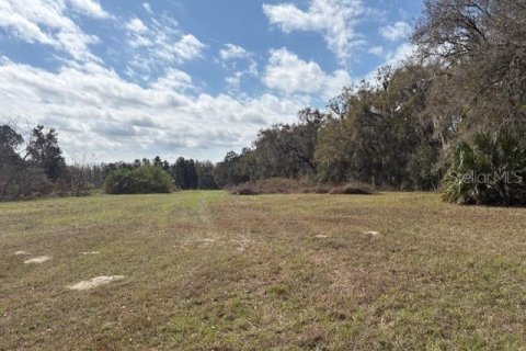 Terreno en venta en Wildwood, Florida № 1390337 - foto 13