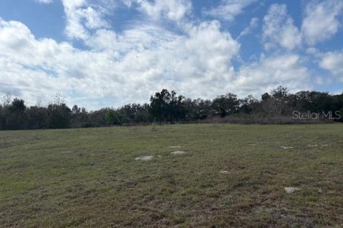 Terreno en venta en Wildwood, Florida № 1390337 - foto 17