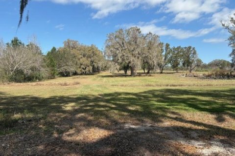 Terreno en venta en Wildwood, Florida № 1390337 - foto 2