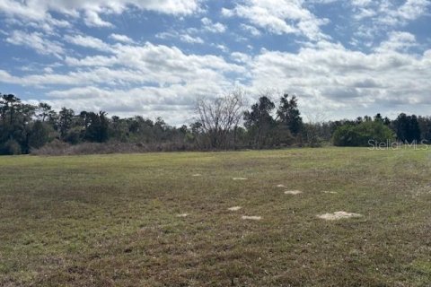 Terreno en venta en Wildwood, Florida № 1390337 - foto 12