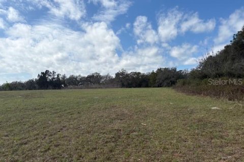 Terreno en venta en Wildwood, Florida № 1390337 - foto 15