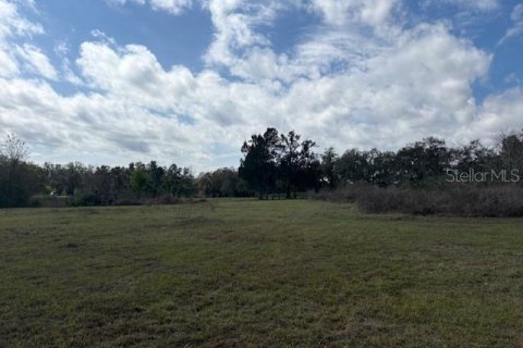 Terreno en venta en Wildwood, Florida № 1390337 - foto 19