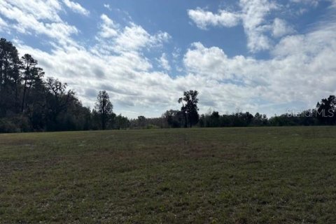 Terreno en venta en Wildwood, Florida № 1390337 - foto 14