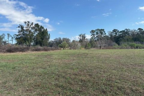Terreno en venta en Wildwood, Florida № 1390337 - foto 9