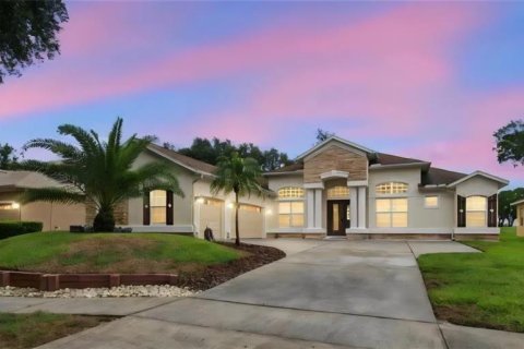 Villa ou maison à Valrico, Floride 4 chambres, 272.11 m2 № 2418564
