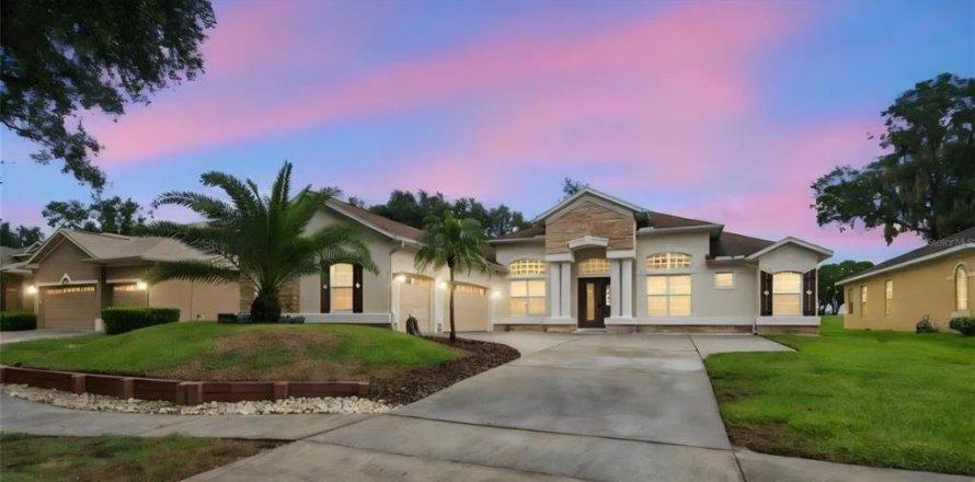 Villa ou maison à Valrico, Floride 4 chambres, 272.11 m2 № 2418564