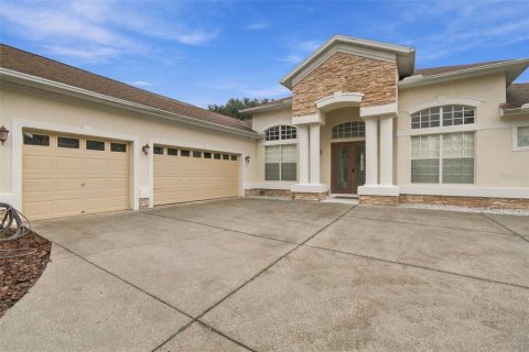 Villa ou maison à vendre à Valrico, Floride: 4 chambres, 272.11 m2 № 2418564 - photo 2