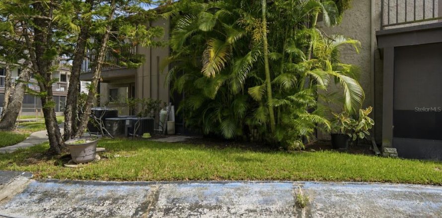 Condo in Tampa, Florida, 1 bedroom  № 2231629