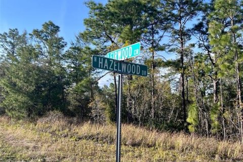 Land in Citrus Springs, Florida № 1733934 - photo 3