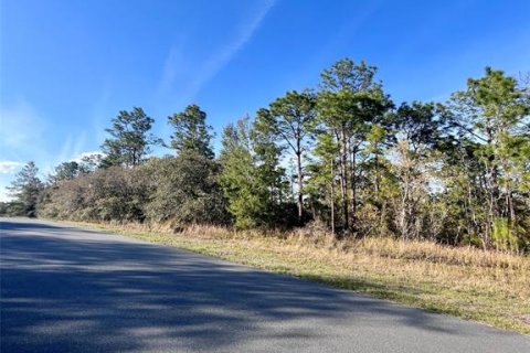 Land in Citrus Springs, Florida № 1733934 - photo 2
