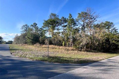 Land in Citrus Springs, Florida № 1733934 - photo 1