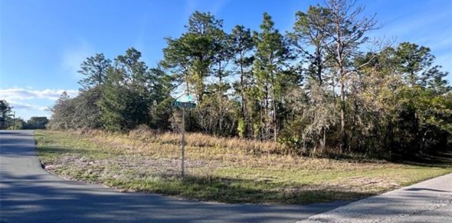 Land in Citrus Springs, Florida № 1733934