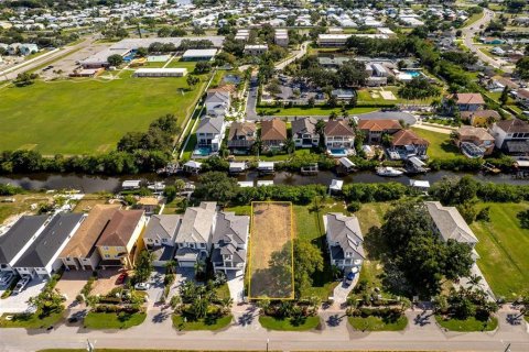 Land in Apollo Beach, Florida № 1793249 - photo 12