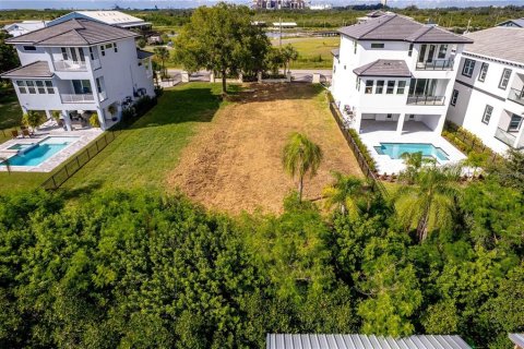 Land in Apollo Beach, Florida № 1793249 - photo 4