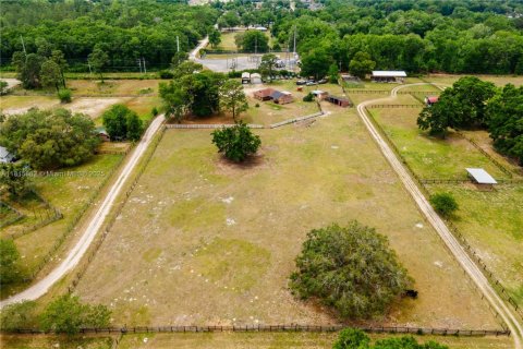 House in Ocala, Florida 3 bedrooms № 1774453 - photo 5