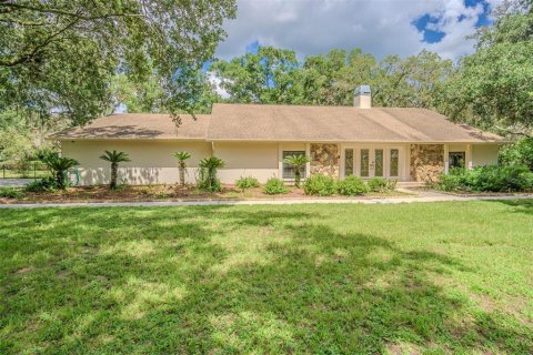 Villa ou maison à vendre à Lutz, Floride: 4 chambres, 295.24 m2 № 1807214 - photo 1