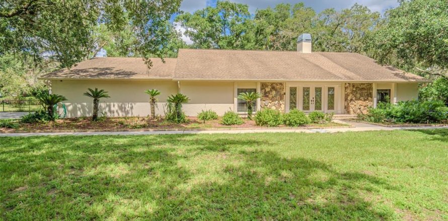 House in Lutz, Florida 4 bedrooms, 295.24 sq.m. № 1807214