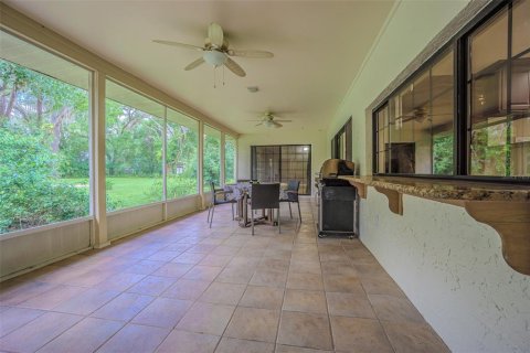 Villa ou maison à vendre à Lutz, Floride: 4 chambres, 295.24 m2 № 1807214 - photo 30