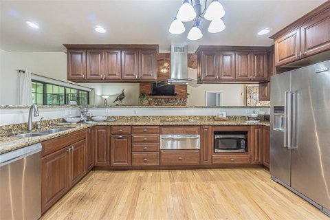 Villa ou maison à vendre à Lutz, Floride: 4 chambres, 295.24 m2 № 1807214 - photo 8