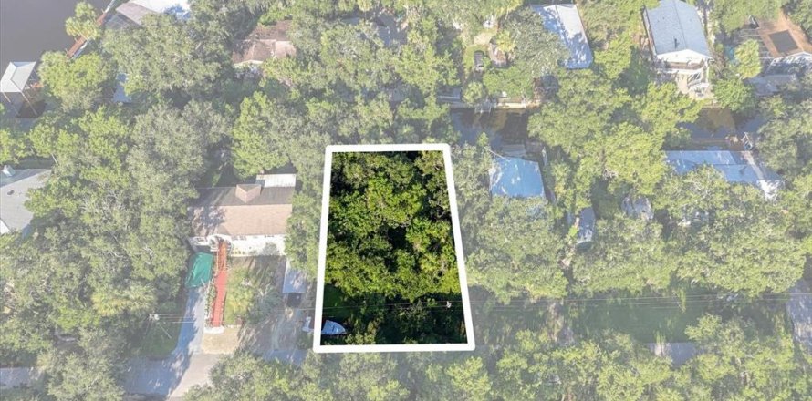 Land in Homosassa, Florida № 2383837
