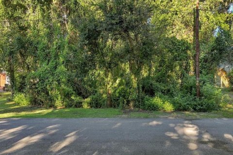 Land in Homosassa, Florida № 2383837 - photo 4