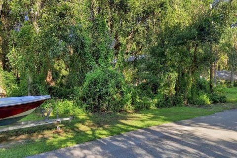 Land in Homosassa, Florida № 2383837 - photo 5
