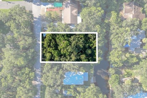Land in Homosassa, Florida № 2383837 - photo 17