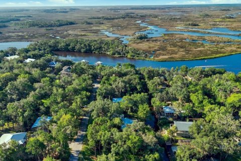 Land in Homosassa, Florida № 2383837 - photo 2