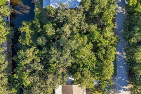 Land in Homosassa, Florida № 2383837 - photo 12