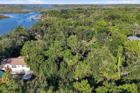 Land in Homosassa, Florida № 2383837 - photo 15
