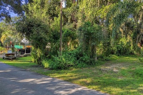 Land in Homosassa, Florida № 2383837 - photo 3