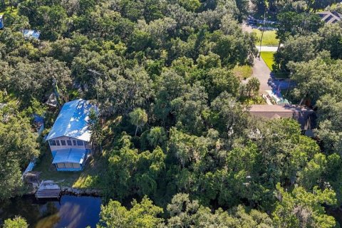 Land in Homosassa, Florida № 2383837 - photo 6