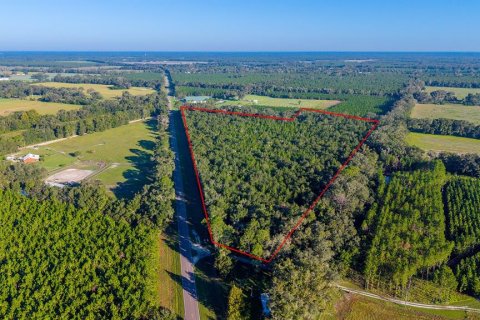 Terrain à vendre à Trenton, Floride № 2415483 - photo 14