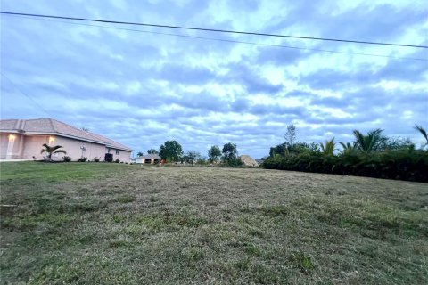 Land in Cape Coral, Florida № 2145273