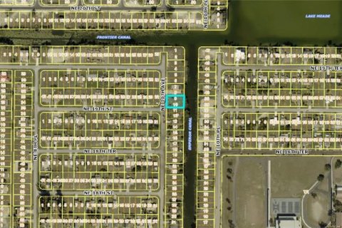 Land in Cape Coral, Florida № 2145273 - photo 4