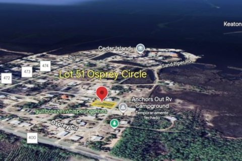 Land in Perry, Florida № 1724954 - photo 1
