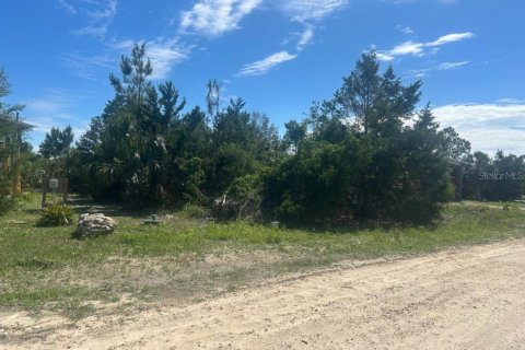 Land in Perry, Florida № 1724954 - photo 4