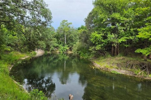 Land in Ridge Manor, Florida № 2275668 - photo 1
