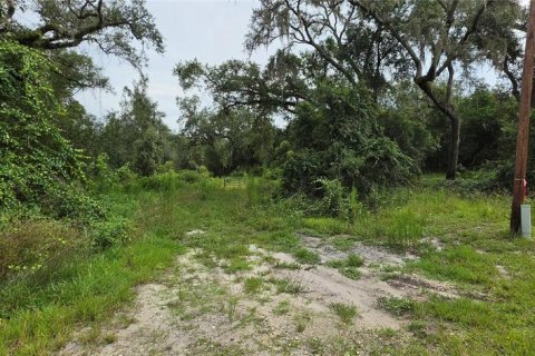 Land in Ridge Manor, Florida № 2275668 - photo 12