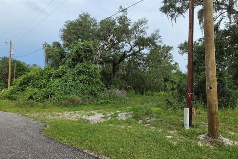 Land in Ridge Manor, Florida № 2275668 - photo 6