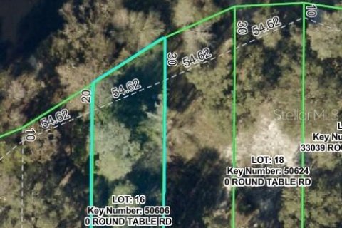 Land in Ridge Manor, Florida № 2275668 - photo 2