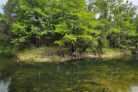 Land in Ridge Manor, Florida № 2275668 - photo 4