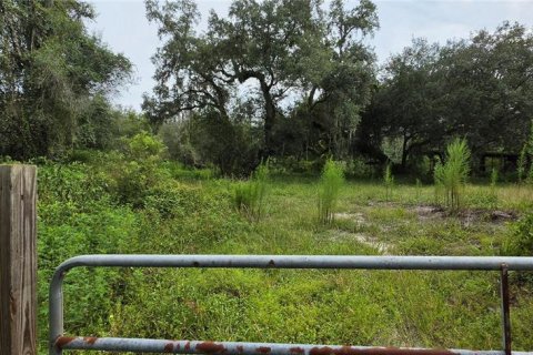 Land in Ridge Manor, Florida № 2275668 - photo 10