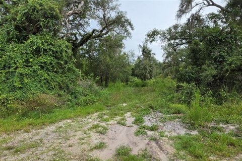 Land in Ridge Manor, Florida № 2275668 - photo 7