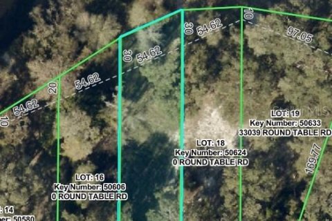 Land in Ridge Manor, Florida № 2275668 - photo 3
