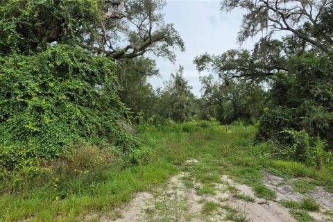 Land in Ridge Manor, Florida № 2275668 - photo 8