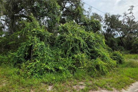 Land in Ridge Manor, Florida № 2275668 - photo 11