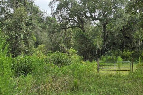 Land in Ridge Manor, Florida № 2275668 - photo 9