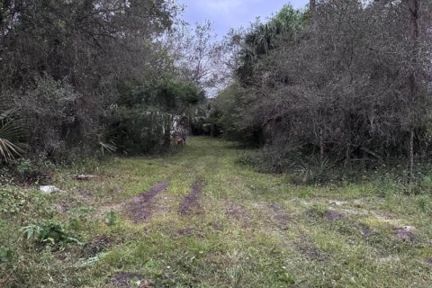Land in Clewiston, Florida № 1014169 - photo 1