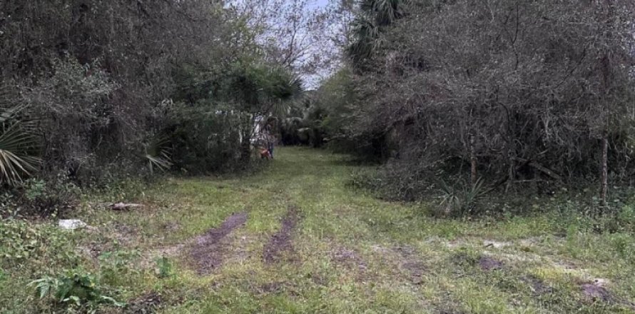 Land in Clewiston, Florida № 1014169